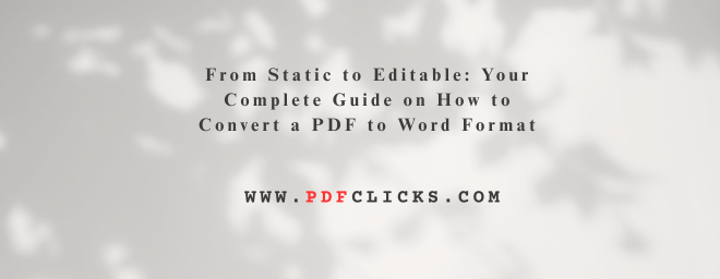 From Static to Editable: Your Complete Guide on How to Convert a PDF to Word Format
